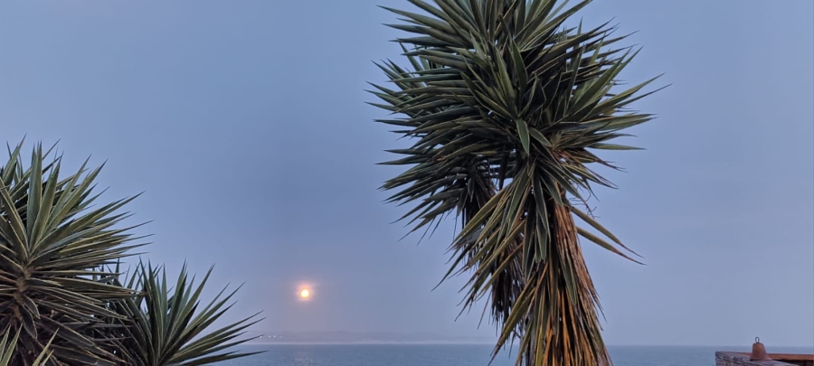 To Let 2 Bedroom Property for Rent in Wavecrest Eastern Cape